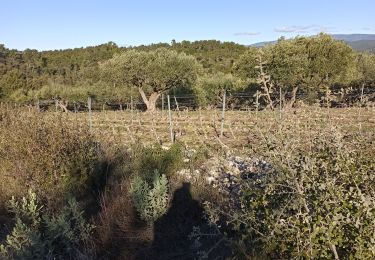 Randonnée Marche Le Thoronet - Le Thoronet- Canal de Ste Croix - Argens - Photo