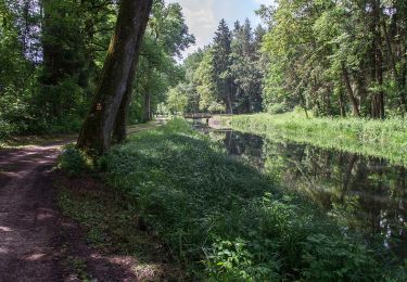 Excursión A pie Sengenthal - Ölkuchenmühle – Winnberg - Photo