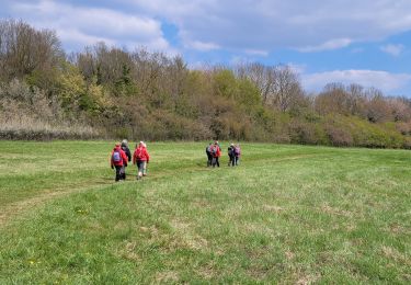 Tocht Stappen Boissy-Saint-Léger - 2021-04-14_20h59m50_SityTrail - 2747384 - boissy - Photo