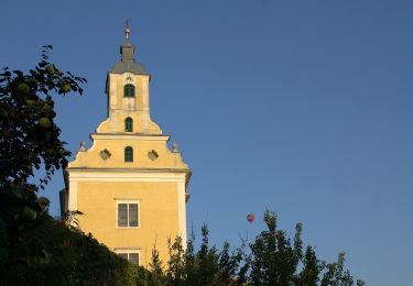 Trail On foot Stubenberg - Geierwandweg (23) - Photo