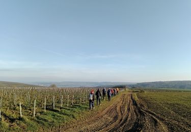 Trail Walking Essômes-sur-Marne - Essômes-sur-Marne du 23-12-2021 - Photo