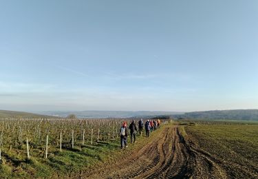 Tour Wandern Essômes-sur-Marne - Essômes-sur-Marne du 23-12-2021 - Photo