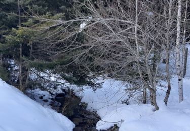 Tour Schneeschuhwandern Génos - Val Louron raquettes - Photo