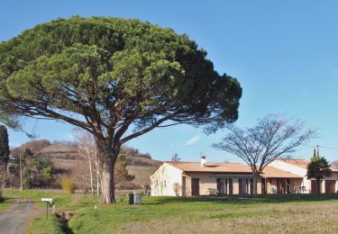 Percorso Marcia Gaillac - Les Hauts de Gaillac revisités  - Photo