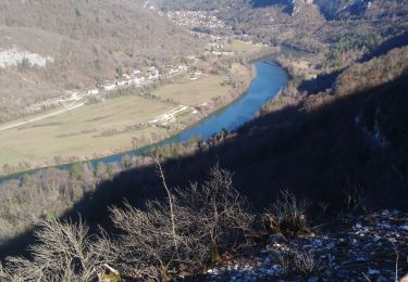 Tocht Stappen Lavancia-Epercy - Bois de Cezinet  - Photo