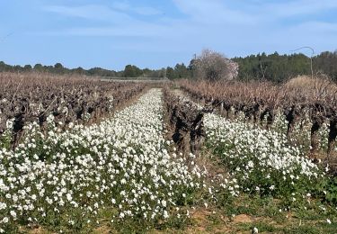 Excursión Senderismo Aumes - L’étendoir aux fées par Aumes - Photo