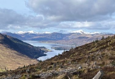Percorso Marcia  - Glencoe - Photo