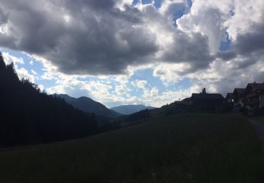 Trail On foot La Val - Wengen - La Valle - IT-2 - Photo