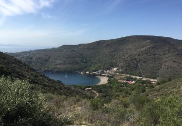 Excursión Senderismo Roses - Montjoy Péni  joncol - Photo