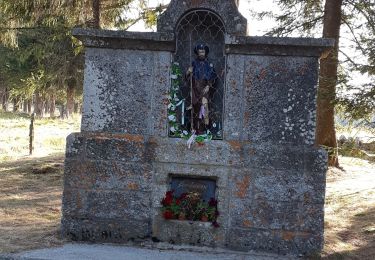 Randonnée Marche Chanaleilles - AUTOUR DU DOMAINE DU SAUVAGE - Photo