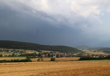 Tour Zu Fuß Lohra - Extratour Schauinsland - Photo