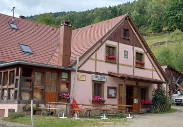 Trail Walking Linthal - Hilsen-Hilsenfirst-Petit Ballon-Hilsen - Photo