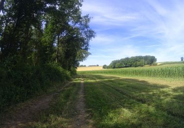 Tour Mountainbike Couvin - mariembourg - Photo