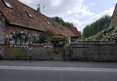 Tour Wandern Estréelles - Estréelles / Recque sur Course - Photo