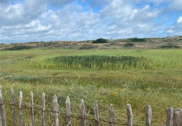 Trail Walking Middelkerke - Westende - Lombardsijde - Photo