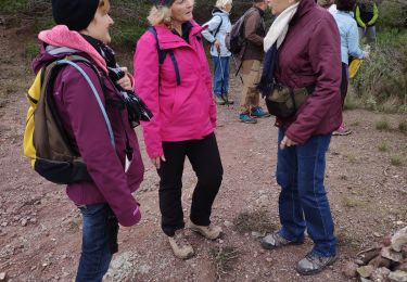 Trail On foot Saint-Raphaël - z le vallon de Barban 17-12-19 - Photo