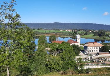 Tour Wandern Grande-Rivière-Château - GR_559_AE_05_Grande-Riviere-Chateau_Hauts-Bienne_20210918 - Photo