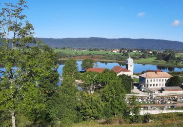 Excursión Senderismo Grande-Rivière-Château - GR_559_AE_05_Grande-Riviere-Chateau_Hauts-Bienne_20210918 - Photo