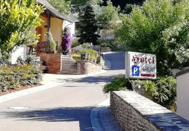 Trail Walking Vianden - Randonnée au  Natuurpark à partir de Vianden - Photo