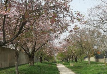 Percorso Marcia Sézanne - Sézanne, du centre ville à la campagne - Photo