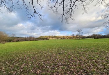 Trail Walking Lierneux - A la découverte de Lierneux 🥾 - Photo