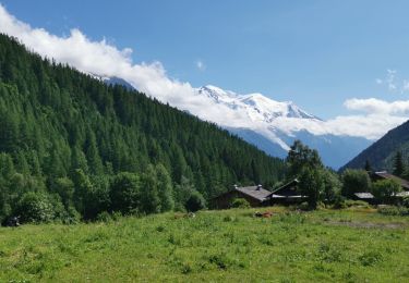 Tour Wandern Chamonix-Mont-Blanc - Aiguille de Posettes et Tête de Balme - Photo