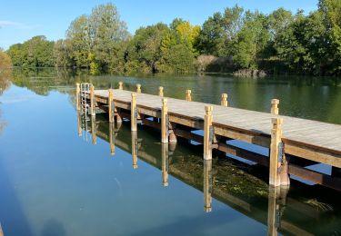 Excursión Bici eléctrica Cognac - Cognac-Taillebourg 11/09/22 - Photo