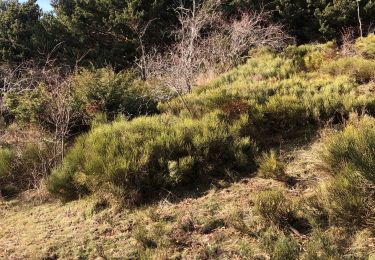 Tocht Stappen Sauto - Mont -Louis jusqu’à Olette  - Photo