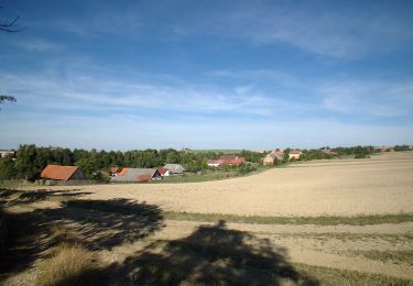 Excursión A pie Potštát - NS Potštát - Photo