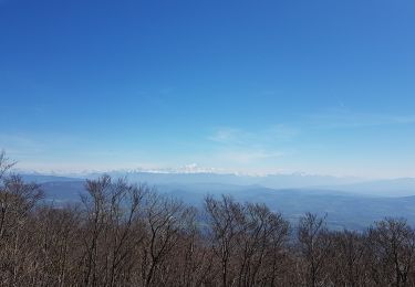 Trail Walking Haut Valromey - Les Plans Hotonnes-cret-nu - Photo