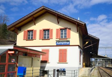 Randonnée A pied Lindau - Kempthal - Winterthur - Photo