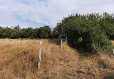 Tocht Stappen Modave - Petite boucle à Vierset Barse - Photo