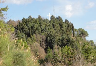 Tour Zu Fuß Brisighella - L'Anello del Carnè - Photo