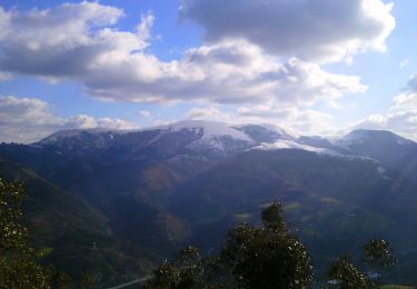 Excursión A pie Llodio - Camino de Santa Lucía a Ganekogorta - Photo