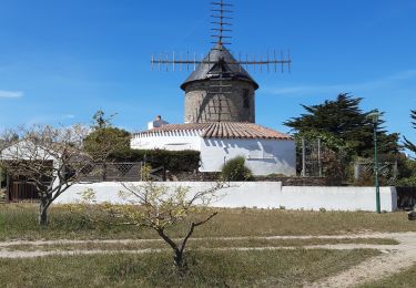 Tour Wandern L'Île-d'Yeu - île d Yeu - Photo