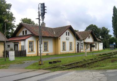 Percorso A piedi Kojetice - [Z] Kojetice - Kostelec nad Labem - Photo