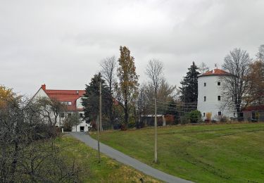 Excursión A pie Steina - Rundwanderweg Gelber Punkt Ohorn - Steina - Luchsenburg - Photo