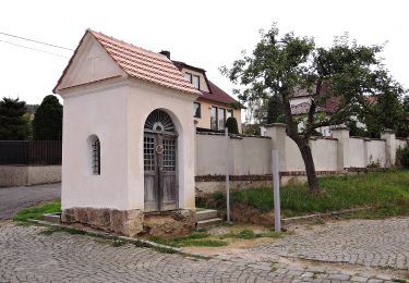 Excursión A pie Sušice - NS Sušická pavučina - stříbrná - Photo