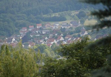 Tocht Te voet Klingenberg am Main - Roter Schmetterling, Rundwanderweg Röllfeld - Photo