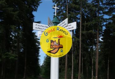 Percorso Marcia Senlis - SM_FLEURINE_Mont ALTA 7,2Km - Photo