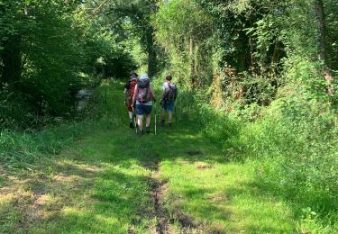 Tour Wandern Chissey-lès-Mâcon - Chéris et le 27-07-2024 - Photo