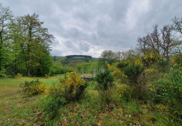 Tour Wandern Hohenfels - rando ornitho nadrin 27/05/2021 - Photo