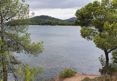 Trail Walking La Londe-les-Maures - test - Photo