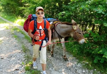 Trail Walking La Chapelle-en-Vercors - La Chapelle en Vercors - Vassieux (Première étape balade ânes) - Photo