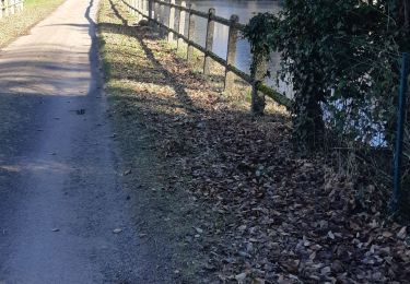 Tocht Stappen Villeneuve-en-Montagne - Chapelle de Villard  boucle en 8 - Photo