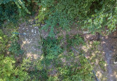 Tour Zu Fuß Hösbach - Schwarzer Keiler, Rundweg Rottenberg - Photo