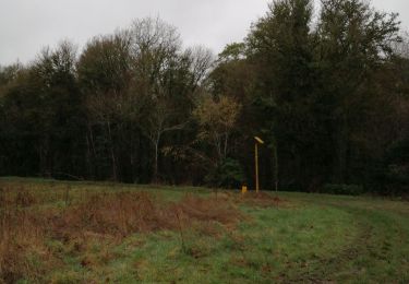 Tour Wandern Saint-Germain-sur-École - Sois grande boucle  - Photo