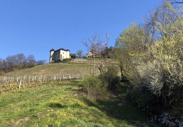 Randonnée Marche Saint-Alban-Leysse - St-Jean-d'Arvey-2021-03-30 - Photo