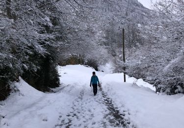 Trail Horseback riding Sazos - Vieilles Thermes de luz - Photo