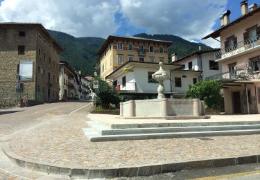 Tocht Te voet Domegge di Cadore - IT-265 - Photo